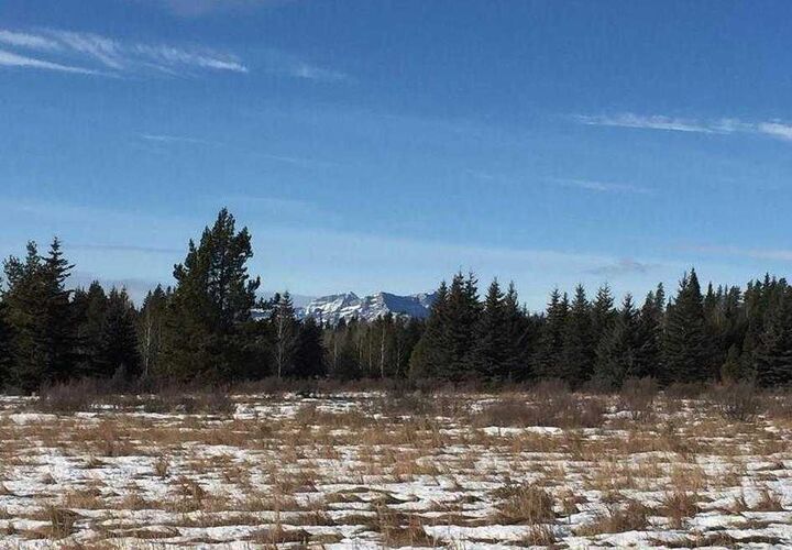 Property Photo: 11 Ghost Country Place AB T4C 1B6
