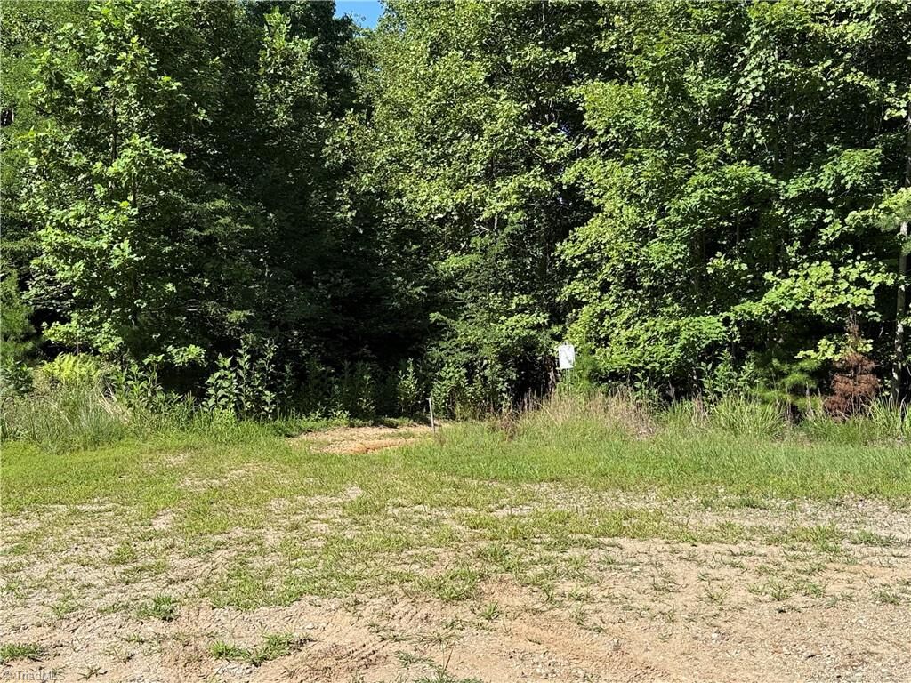 Property Photo: Lot 222 Casey Mountain Road NC 28665
