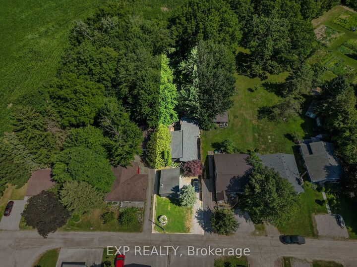 Property Photo:  250 Orchard Avenue  ON N0M 2G0 