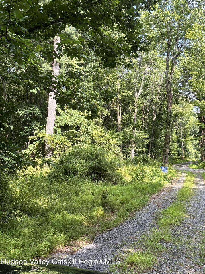 Property Photo: 0 Woodland NY 12521
