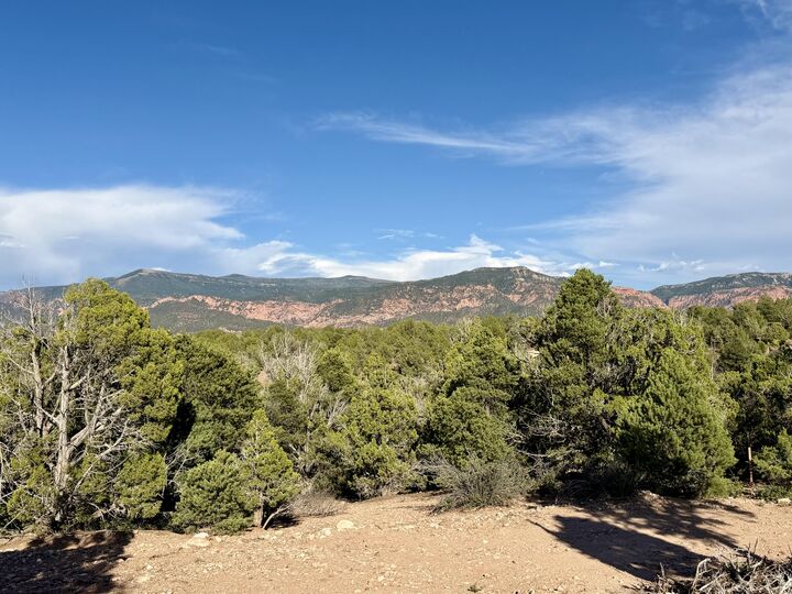 Property Photo:  7180 S Bareback Rd, Lot 51  UT 84720 