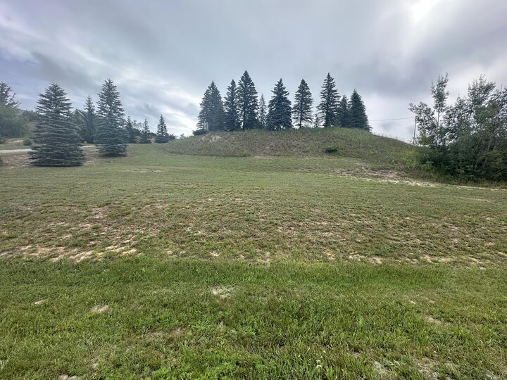 Property Photo:  0.63 Ac Lakeway Drive  MI 49799 