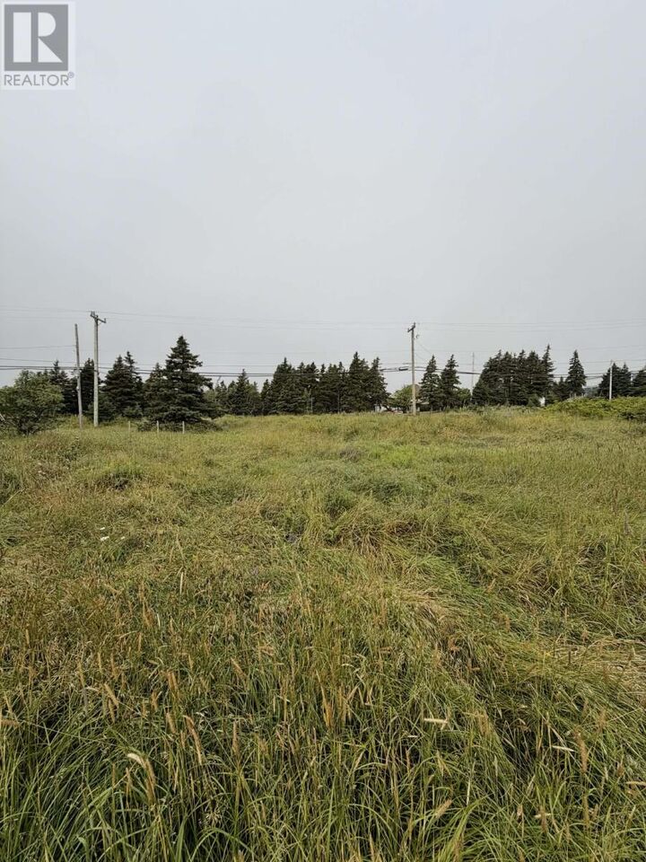 Property Photo:  4-6 Lahey's Lane  NL A0A 1H0 