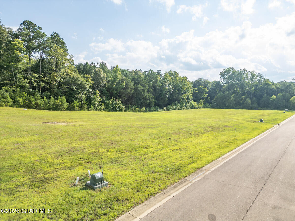 Property Photo: 151 Huxley Drive MS 39759