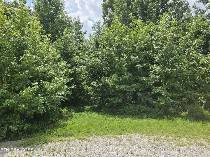 Property Photo: Lot 22 Twin Feathers Dr TN 37854