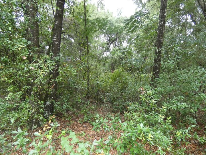 Property Photo: Tbd SW 151 St Pl FL 34432