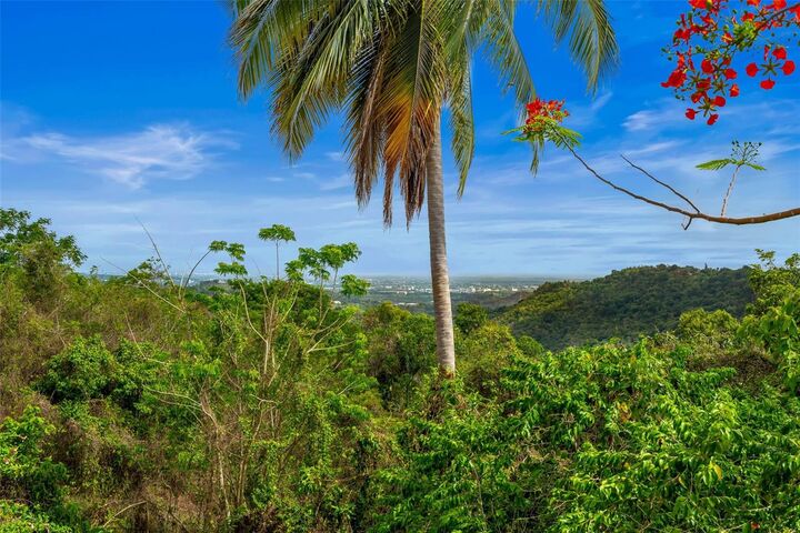 Property Photo:  Carr 853 Km. Hm 6.2 Hidalgo St.  PR 00987 