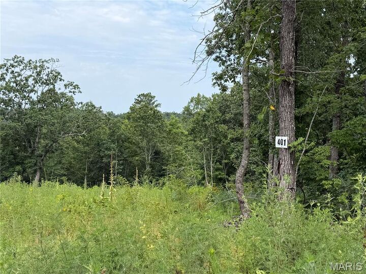 Property Photo:  #401 Madison 410  MO 63645 