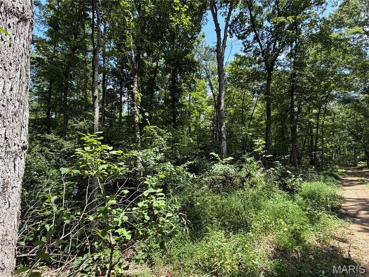 Property Photo: #405 Madison 410 MO 63645