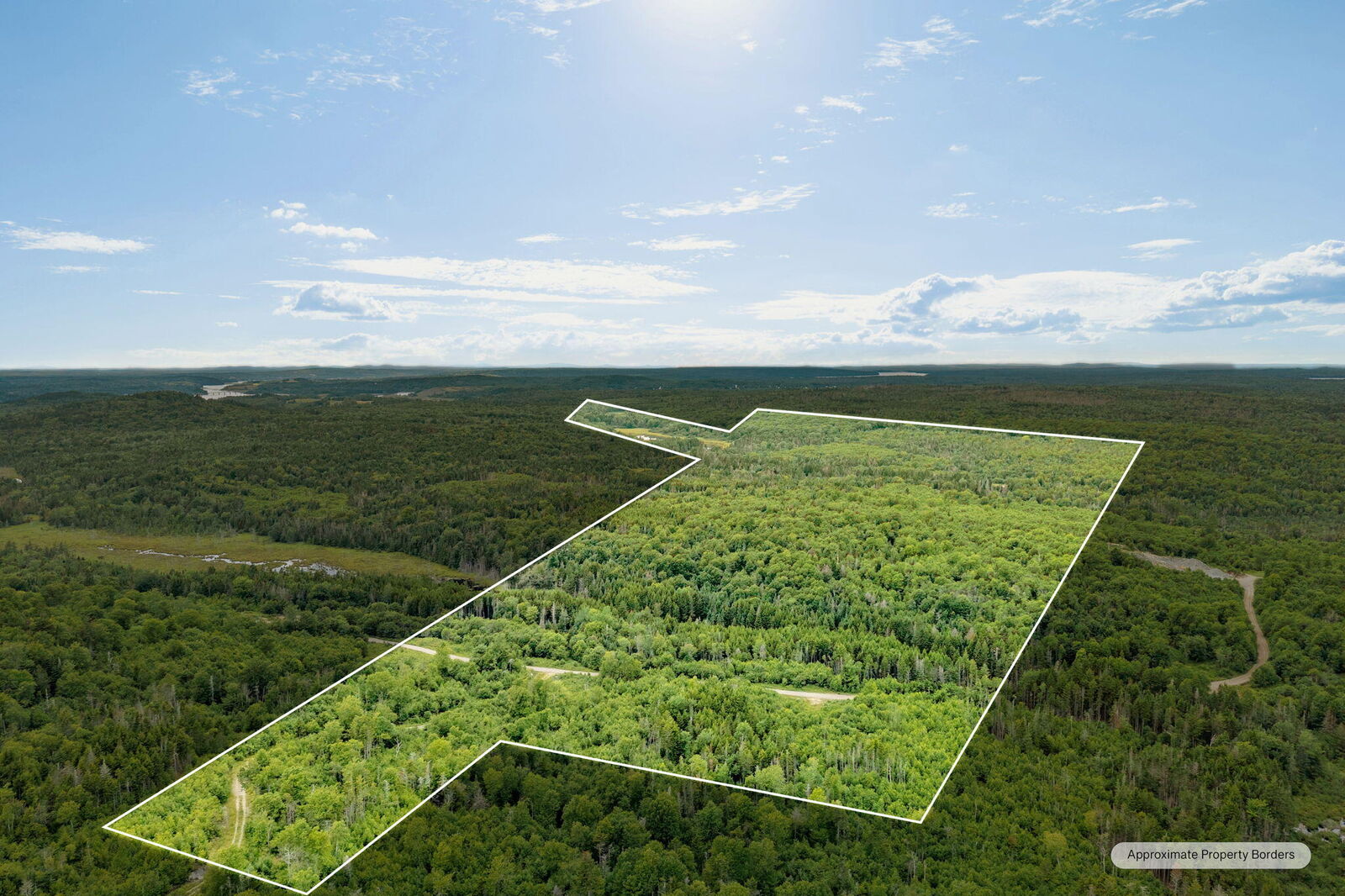 Property Photo:  M002l035 Route 191(Cutler Rd) Road  ME 04655 