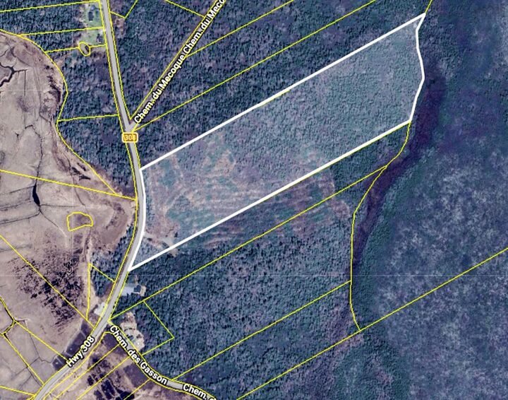 Property Photo:  Lot, Highway 308  NS B0W 3M0 