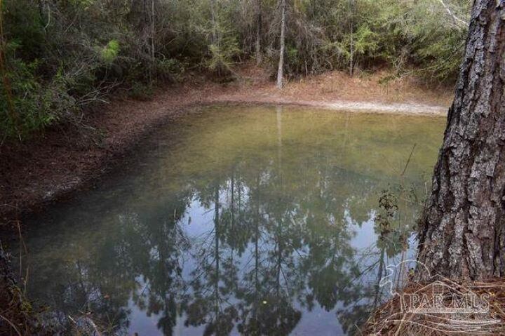Property Photo:  0001 Pat Brown Rd  FL 32570 