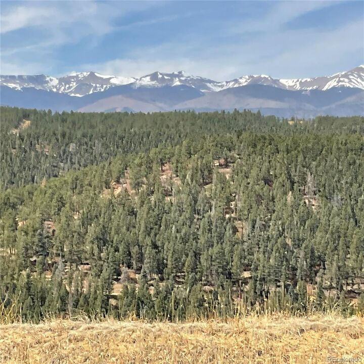 Property Photo:  160 Acres San Pablo Canyon  CO 81091 