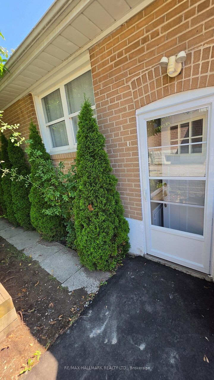 Property Photo:  187 Septonne Avenue Lower Level  ON L3Y 2W5 