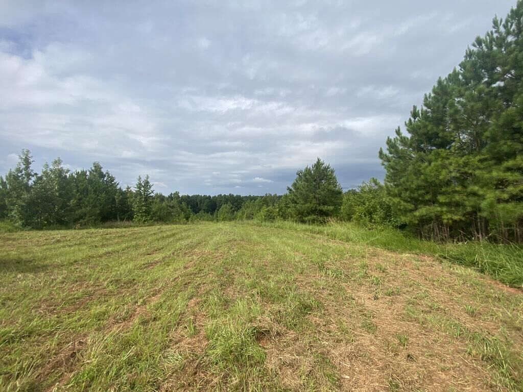 Property Photo:  437 Acres Brown Creek Road  GA 31826 
