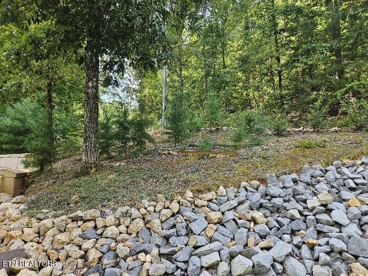 Property Photo:  100 Warriors Passage Drive  TN 37385 