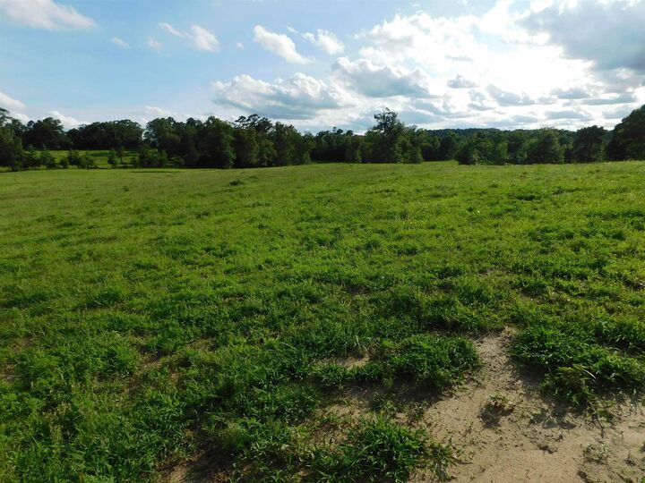 Property Photo: Tbd Groundhog Rd TX 75647