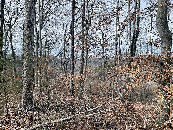 Property Photo:  Lot 84 Stillwater  KY 42642 