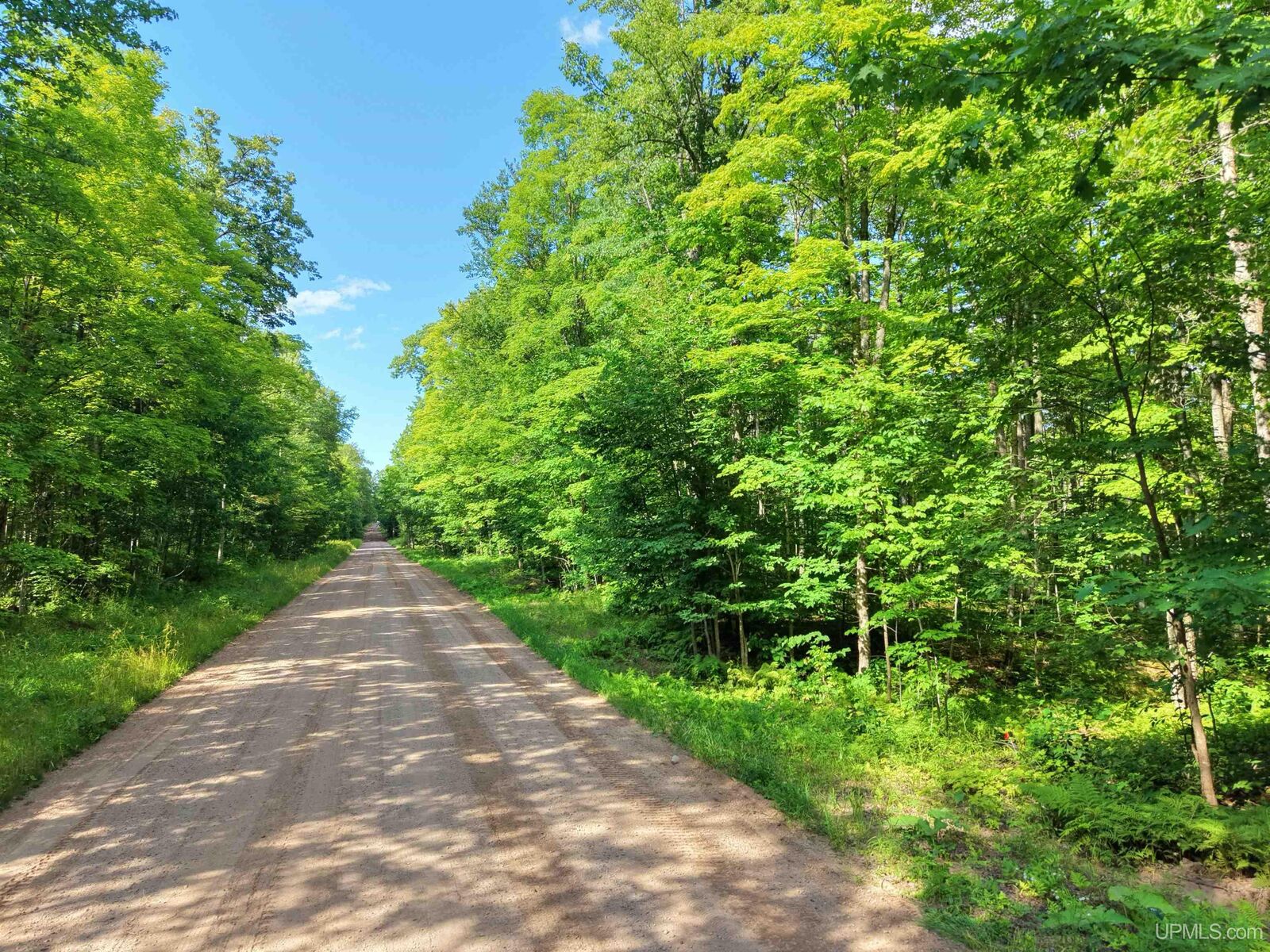 Property Photo:  Tbd S Laird Road  MI 49952 