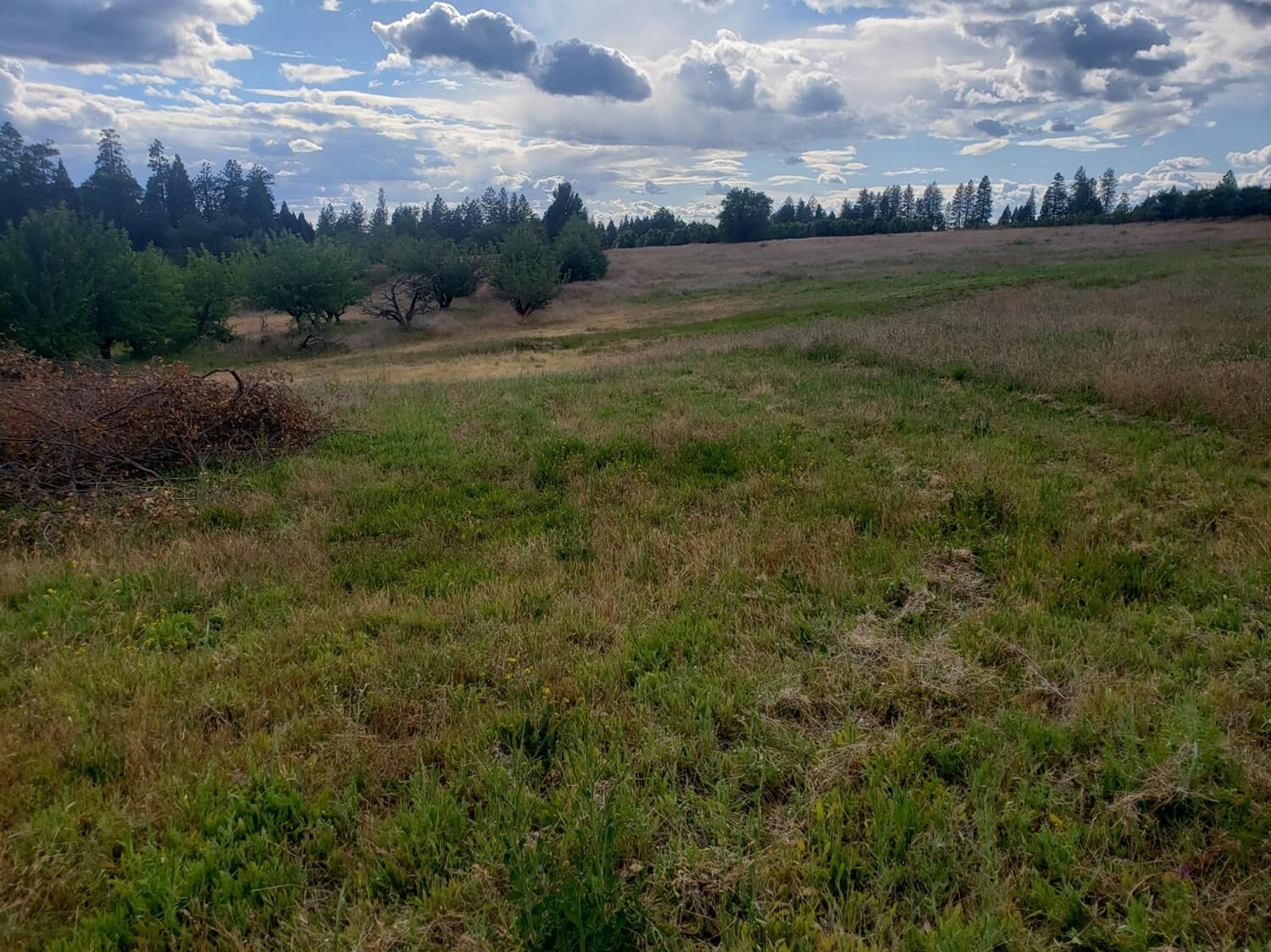 Property Photo:  10 Braeburn Lane  CA 95667 