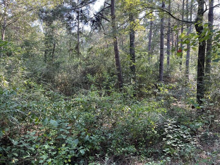 Property Photo:  16328 US Hwy 69 S  TX 75949 