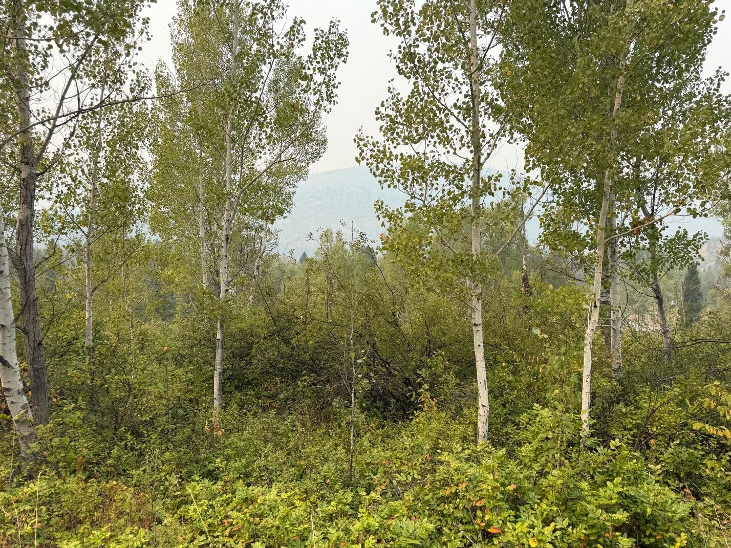 Property Photo: 51xx Northport-Waneta Rd WA 99114