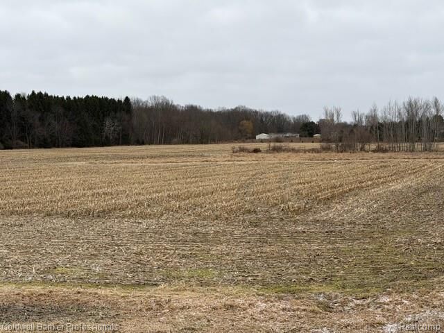 Property Photo: Vl N Branch Road MI 48461