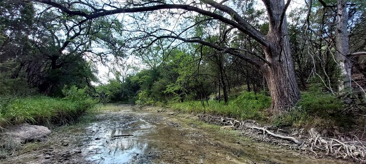 Property Photo: 00000 Brinkley Drive TX 78676