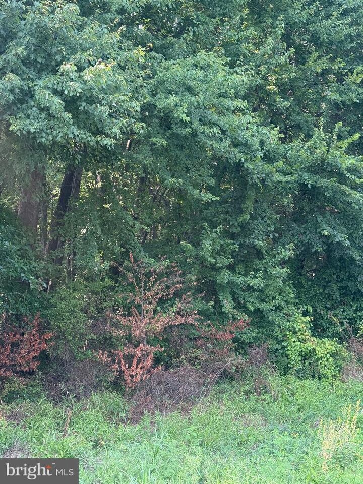 Property Photo: Parcel 38 Goldsboro Road MD 21607