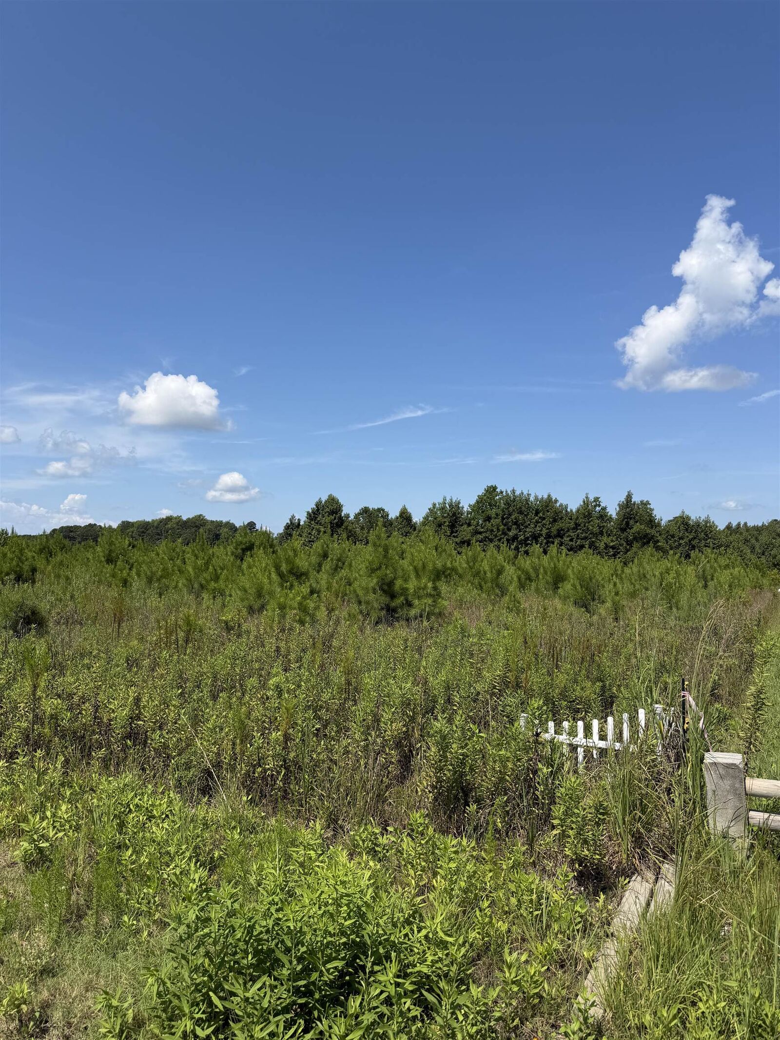 Property Photo:  183 Dove Rd.  SC 29569 