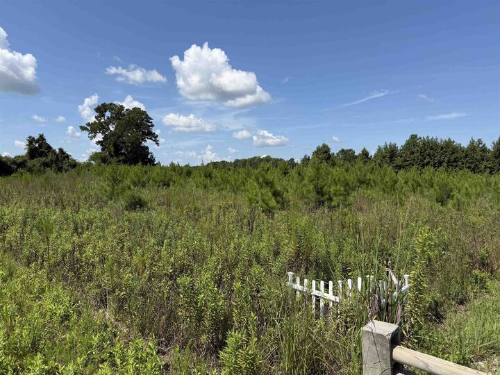 Property Photo:  175 Dove Rd.  SC 29569 