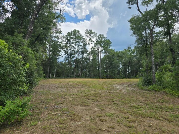 Property Photo:  1003 SW 175th Court  FL 32669 