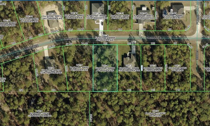 Property Photo: 0 Thrasher Avenue FL 34614