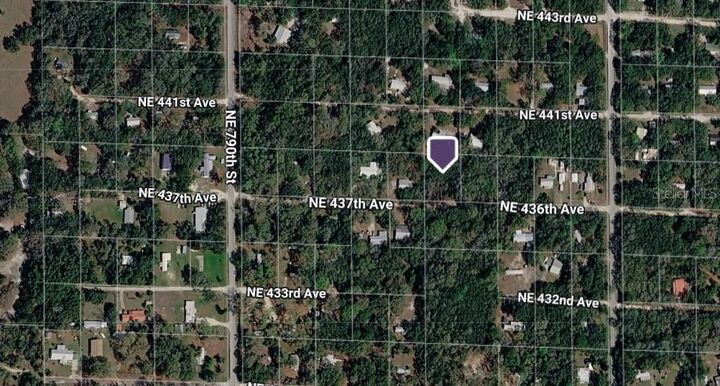 Property Photo: 0 NE 437th Ave FL 32680