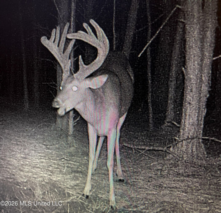 Property Photo:  Rockhill Road  MS 39759 