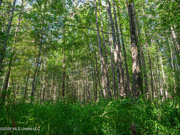 Property Photo: Mississippi 12 MS 39063