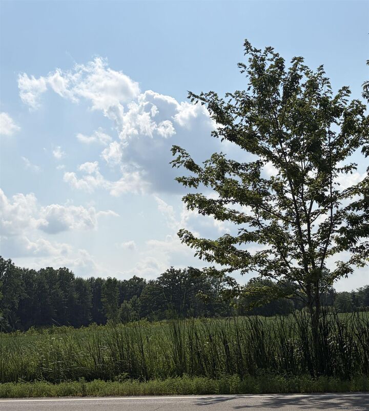 Property Photo:  0 Capac Road  MI 48005 