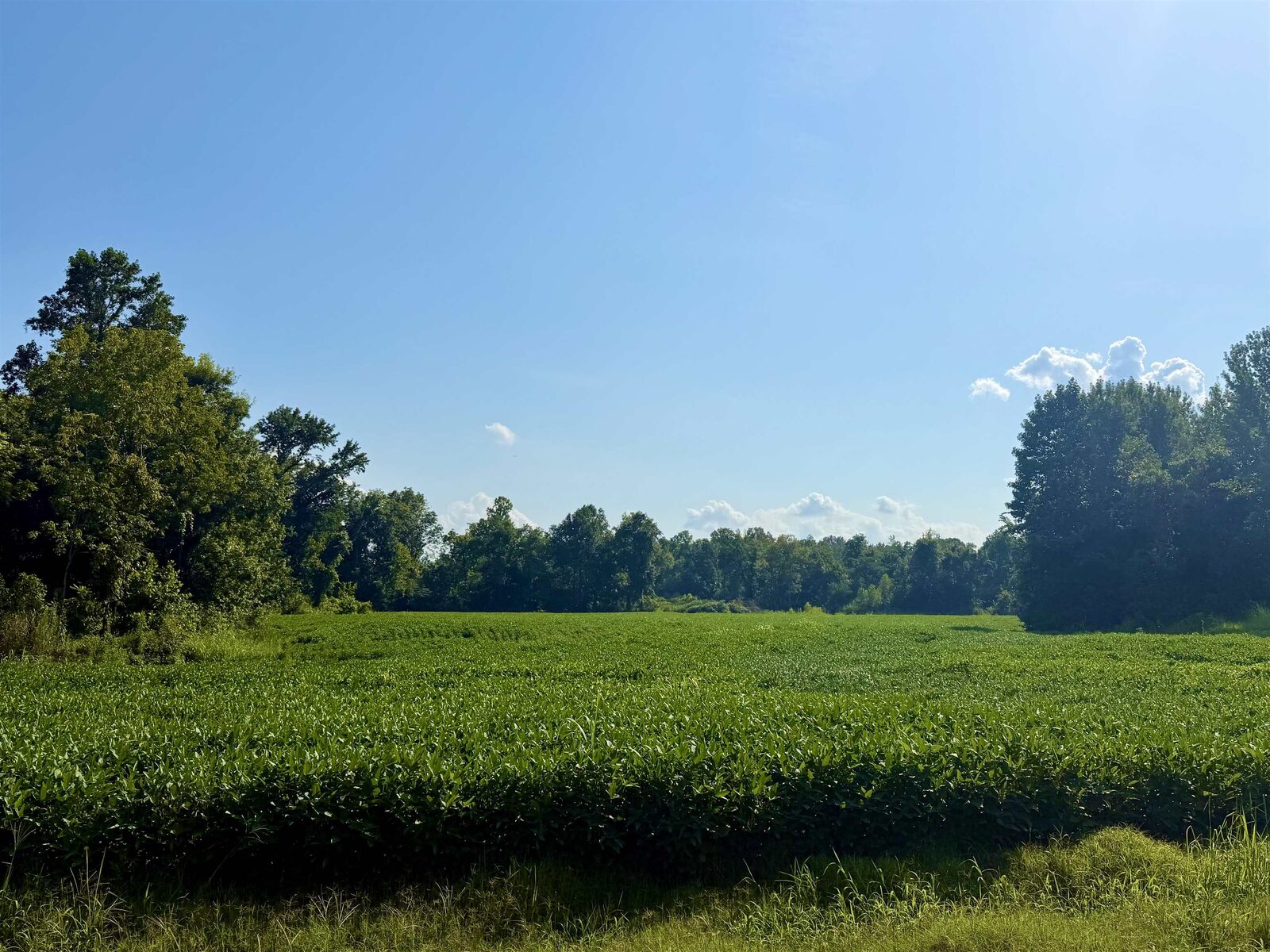 Property Photo:  0 Adkins Rd  TN 38015 
