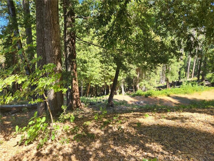 Property Photo: 11157 Breezy Boulevard CA 95930