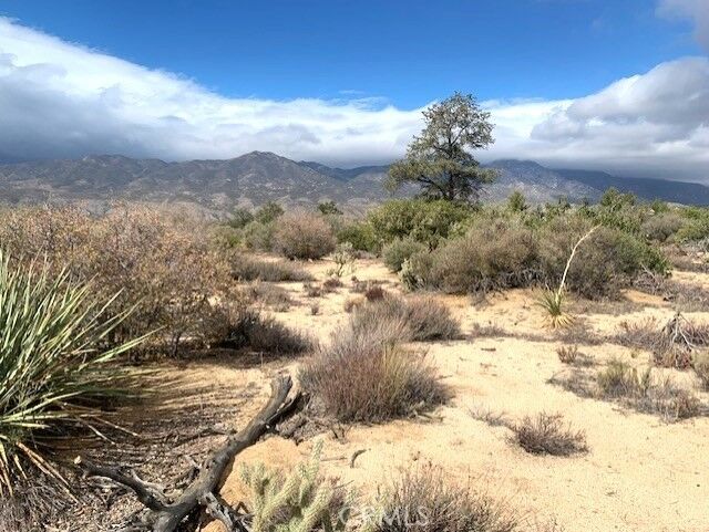 Property Photo: 368 Palm Canyon Drive CA 92561