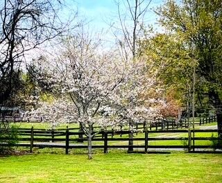 Property Photo:  620 Central Valley Rd  TN 37129 