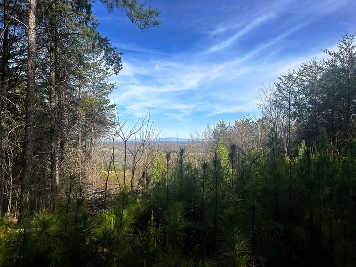 Property Photo:  0 Owl Hollow Road SW  TN 37353 