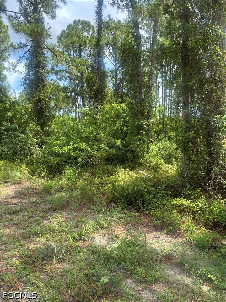 Property Photo:  2110 Jackson Avenue  FL 33920 