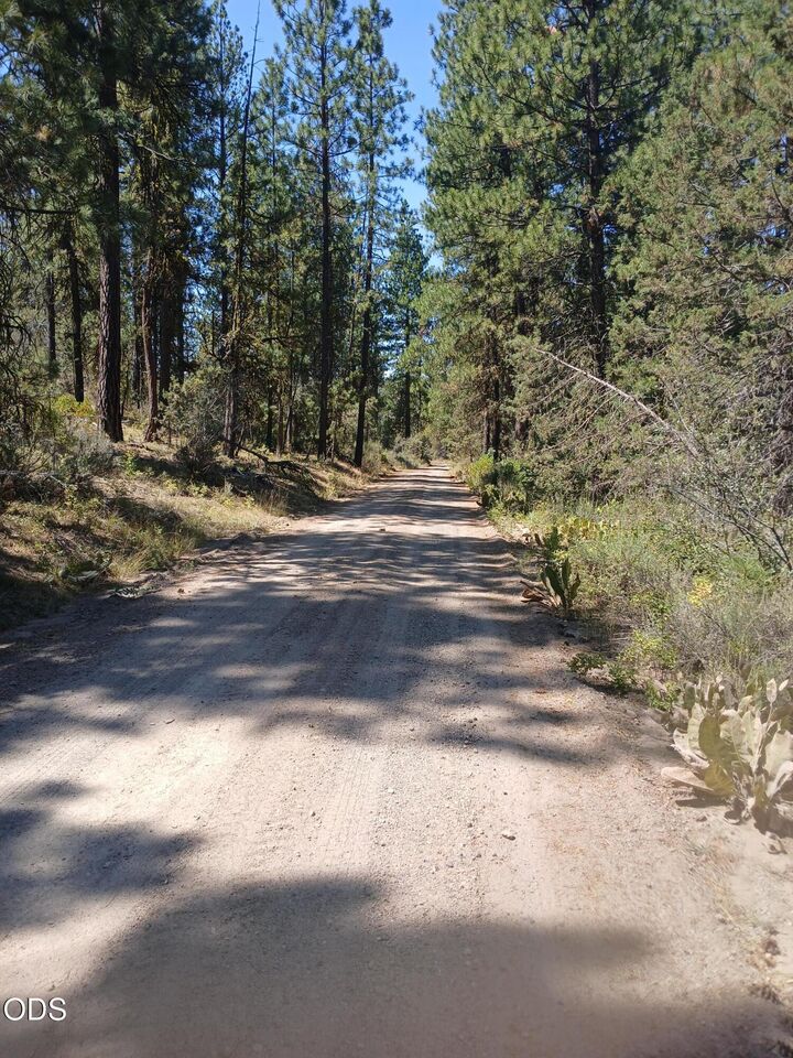 Property Photo: 0 Oriole Drive Lot 13 OR 97623