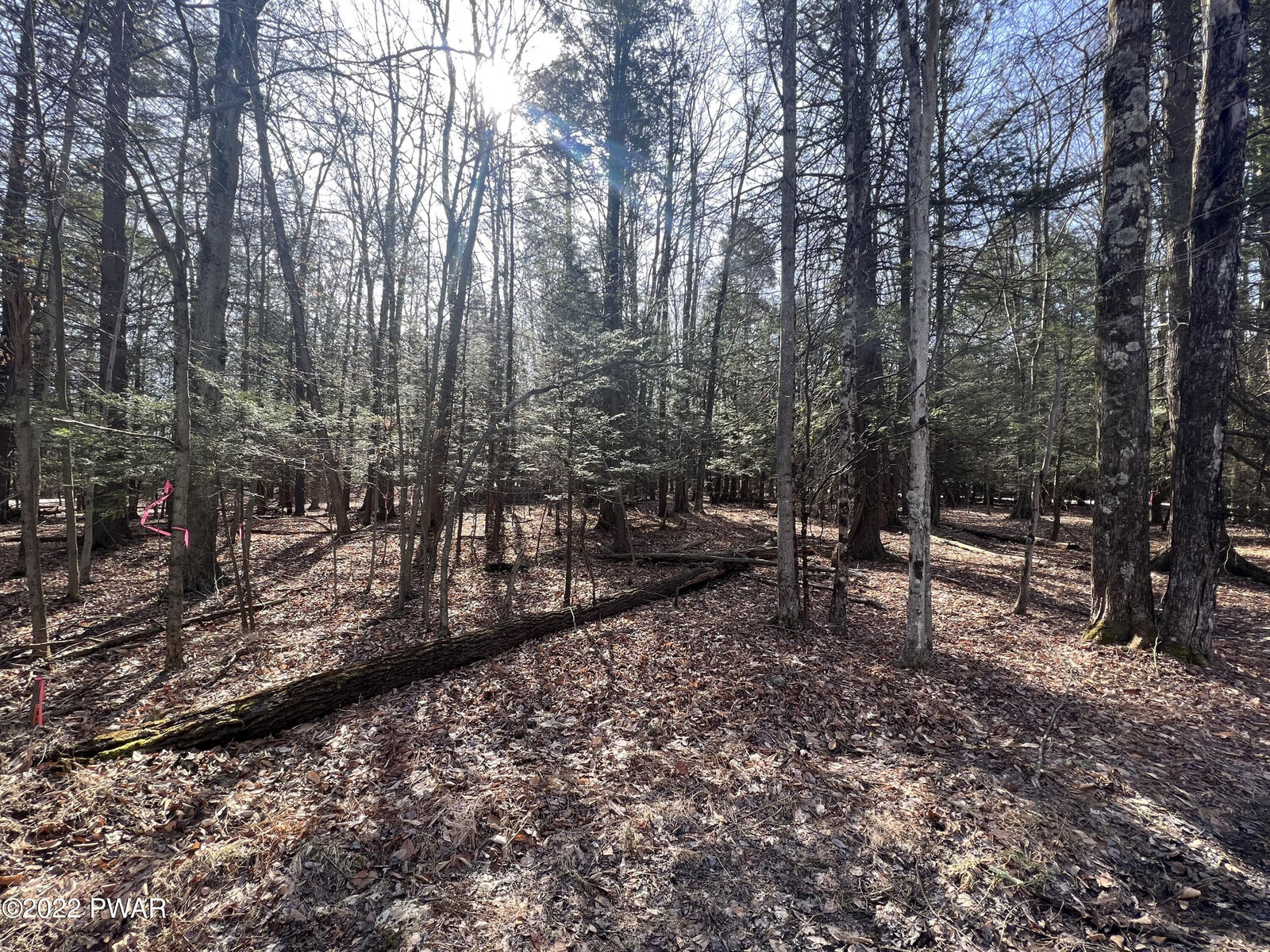 Property Photo:  209 &Amp 210 Polaris Way  PA 18436 