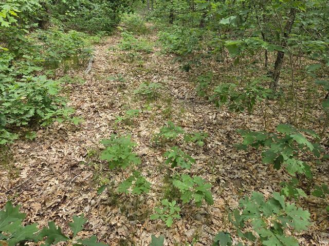 Property Photo: V/L 10-13 W Oliver Road MI 49304