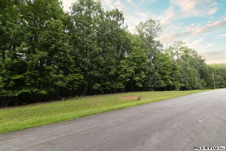 Property Photo:  0 Lookout Point Drive  VA 23887 