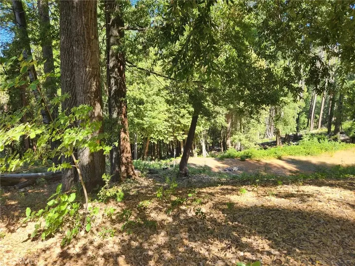 Property Photo: 11157 Breezy CA 95930
