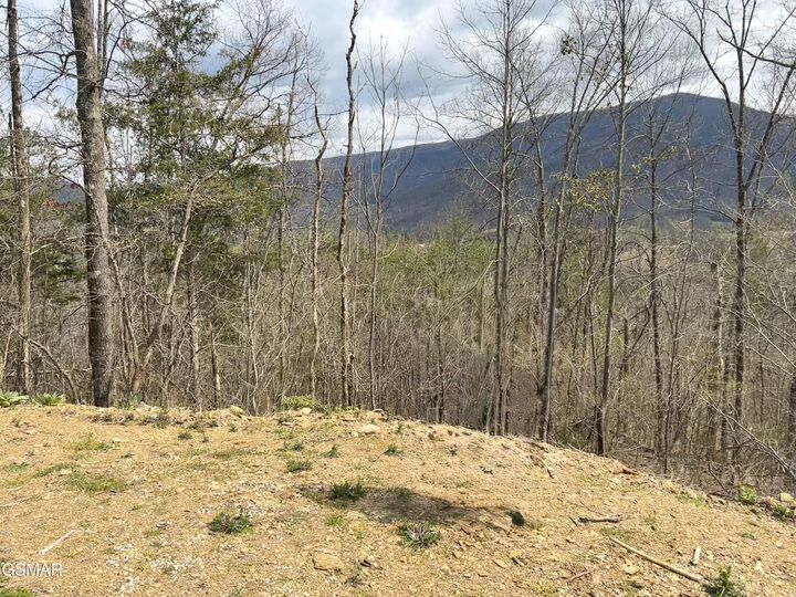 Property Photo:  0 Quail Way  TN 37862 