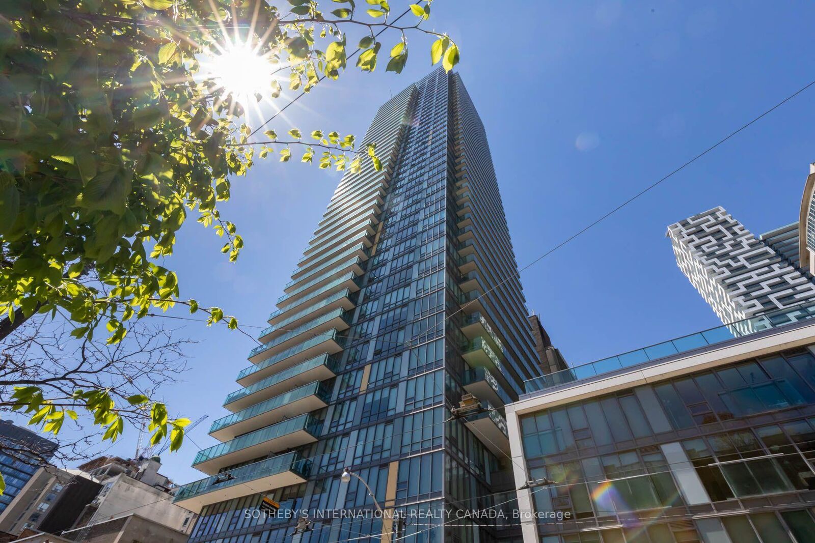 Property Photo:  33 Lombard Street 3601  ON M5C 3H8 